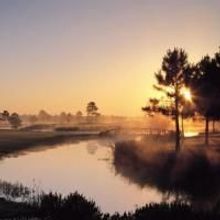 ARTS Partners With RSVP To Provide Activities For Children During The Melodies & Musi