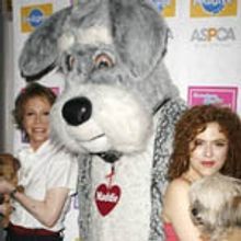 Photo Coverage: BROADWAY BARKS 10: Backstage & Press Room