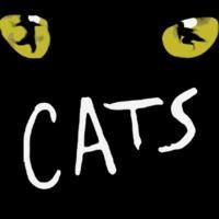 THE WIZARD OF OZ And CATS Added To Hennepin Theatre Trust's 2009/10 Season