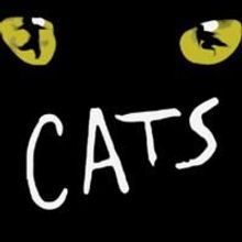 THE WIZARD OF OZ And CATS Added To Hennepin Theatre Trust's 2009/10 Season