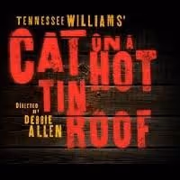 CAT ON A HOT TIN ROOF Opens In West End At Novello Theatre 12/1