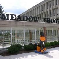 Meadow Brook Theatre Announces FEET FOR SEATS 5k Run/Walk Fundraiser To Be Held 8/23
