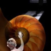 Adventure Stage Chicago Presents GOSSAMER, Previews 11/5, 11/6