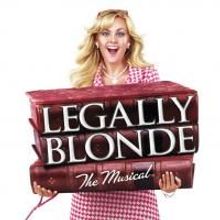 Team San Jose & Nederlander Org Announce Partnership & Inaugural Season