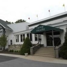 MUCH ADO ABOUT NOTHING Plays The Root Family Stage 8/28, 8/29