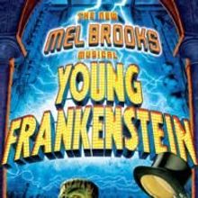 YOUNG FRANKENSTEIN & More Set For Broadway In Chicago 2009/2010 Season Series