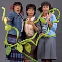 LITTLE SHOP OF HORRORS Runs 5/29-6/30 At The Robert G. Reim Theater In St. Louis
