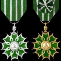 CST Executive Director Criss Henderson Honored by French Government