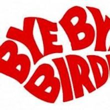 Tickets Now On Sale For The Pembroke Pines Theatre of the Performing Arts' BYE BYE BI