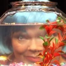 Aurora Theatre Begins a New Cutting-Edge Laboratory Series with boom 