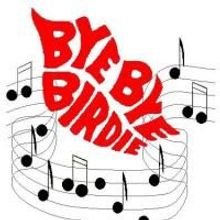 Theatre At The Vis Presents BYE BYE BIRDIE 7/30-8/2