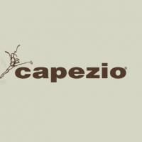 Arlene Shuler to Receive Capezio Award 9/22 At New York City Center