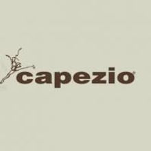 Arlene Shuler to Receive Capezio Award 9/22 At New York City Center
