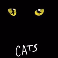 CATS Opens 9/9 At The Moonlight Amphitheatre Stage