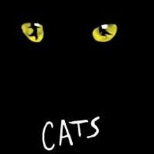 CATS Opens 9/9 At The Moonlight Amphitheatre Stage