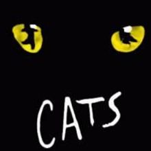 Broadway In Chicago Welcomes Back CATS At The Cadillac Palace Theatre 10/13-18