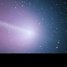 Nicu's Spoon Announces HIDING BEHIND COMETS 7/8-7/26 At Spoon Theater