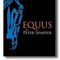 New Edgecliff Theatre Announces Their 'Twisted' 12th Season, Including EQUUS And…
