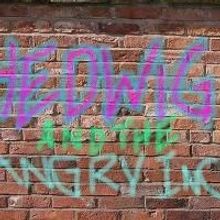 Blue Spruce Supports LGBTQ Equality With November Production of HEDWIG AND THE ANGRY 