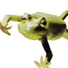 Imago Theatre Holds Open Auditions For Cinder, FROGZ And Biglittlethings On 6/3 