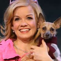 Legally Blonde National Tour Comes To OCPAC 9/8, Tickets On Sale 7/10