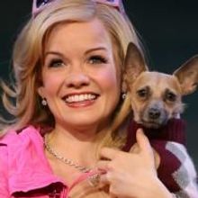 Legally Blonde National Tour Comes To OCPAC 9/8, Tickets On Sale 7/10
