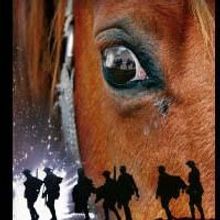 New Cast Announced for National Theatre's WAR HORSE; Behind the Scenes DVD on Sale