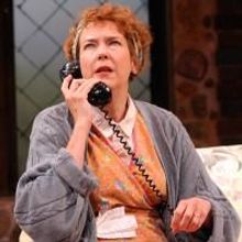 Photo Flash: The Shakespeare Theatre of New Jersey Presents NOISES OFF