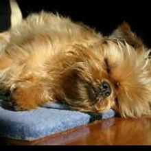 Vito Abate & Theatre Charlotte Announce The 09-10 Season of Just Do It: A Themed Read