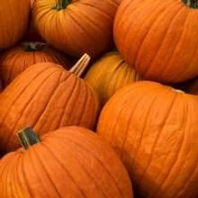 'The 13th Annual Crown Center Pumpkin Patch' Held At Crown Center Square 10/10