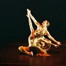 Dance & Shoes Join In THE OTHER SHOE At Ailey Citigroup Theater 6/25-28 
