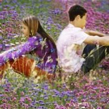 Photo Flash: WILDFLOWER Hits Second Stage Theatre Thru 8/8