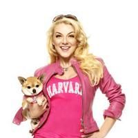 West End's LEGALLY BLONDE Begins Previews Tonight, 12/5