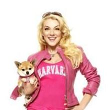 West End's LEGALLY BLONDE Begins Previews Tonight, 12/5