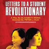 Metamorphosis Theatre Co Hosts LETTERS TO A STUDENT REVOLUTIONARY 6/4