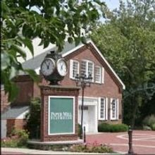 Paper Mill Announces The Rising Star Awards 2009 Noms & Honorable Mentions
