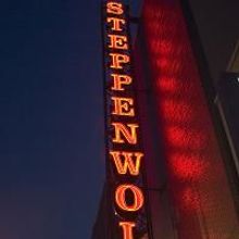Polly Carl Set As Steppenwolf's Playwrights' Center Producing Artistic Director