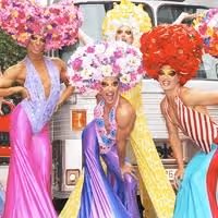 PRISCILLA releases more tickets at the Palace