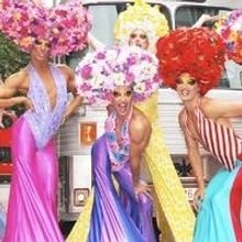 PRISCILLA releases more tickets at the Palace