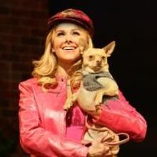 Zakrin, Bundy Share The Spotlight As Elle In TPAC's LEGALLY BLONDE 6/15-6/29