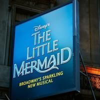 Drew Seeley to Join & Chelsea Morgan to Take Over THE LITTLE MERMAID as Eric and…