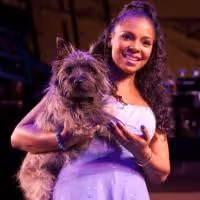 The Wiz Holds Free Post-Matinee Talkbacks With The Director & Company 6/24, 7/1