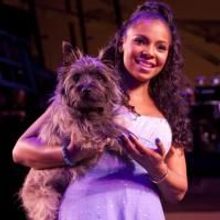 The Wiz Holds Free Post-Matinee Talkbacks With The Director & Company 6/24, 7/1