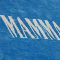 MAMMA MIA! Welcomes New Cast Tonight