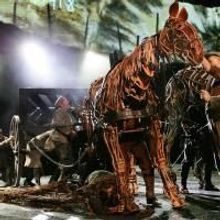 Photo Flash: WAR HORSE Continues 'Galloping' At New London Theatre