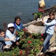 City Parks Foundation Presents 75 Free Summer Concerts, Dance & Theater 