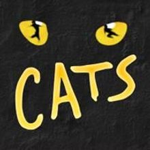 Palace Theatre to Hold Auditions for CATS on Sept. 26