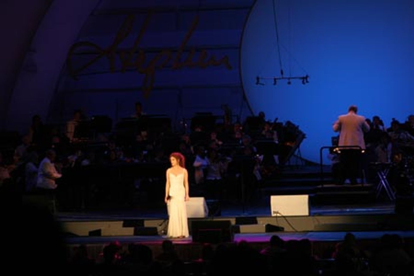 Photo Coverage: Sondheim at the Bowl Performance  Image