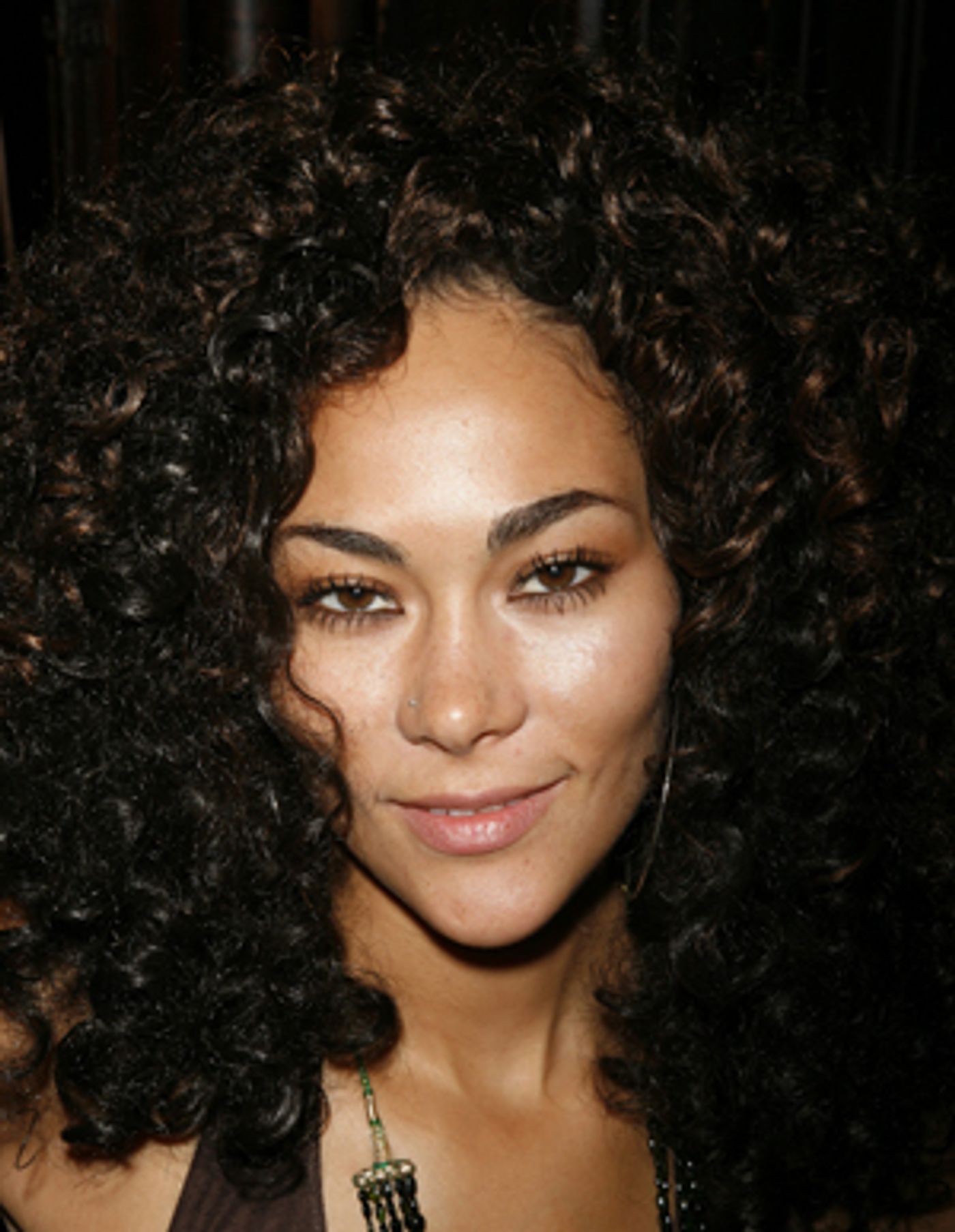 Photo Coverage: National Arts Club Honors Jones & LaChanze  Image