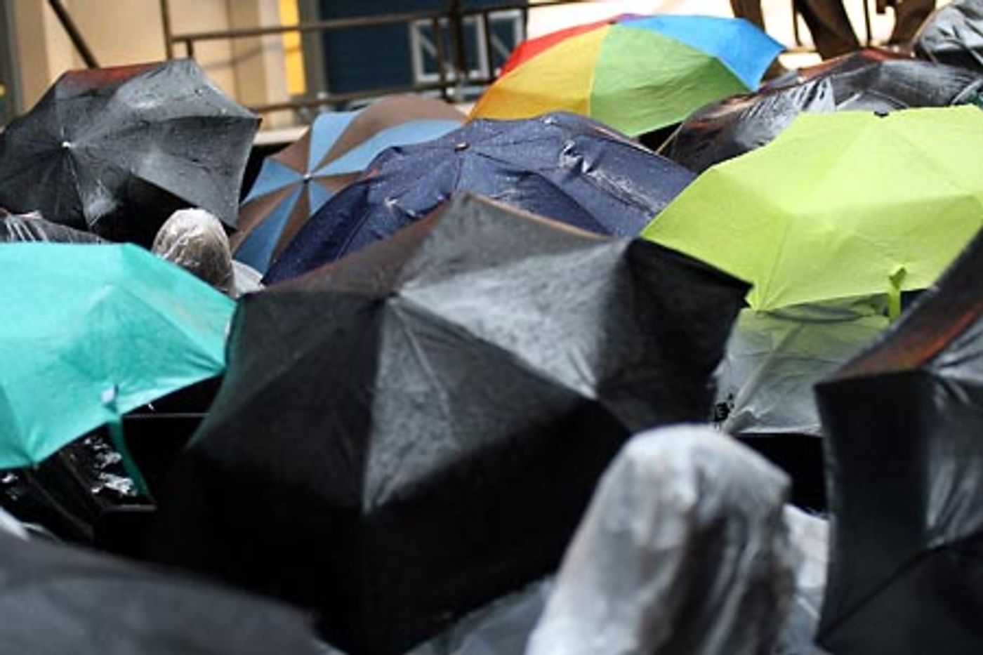 Photo Coverage: Stars in the Alley  Image